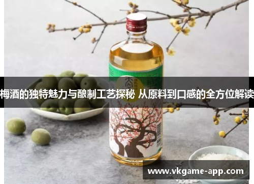 梅酒的独特魅力与酿制工艺探秘 从原料到口感的全方位解读